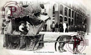 ALGER - BATAILLE DE FLEURS - TIGRESSE ET CHASSEUR - 1912